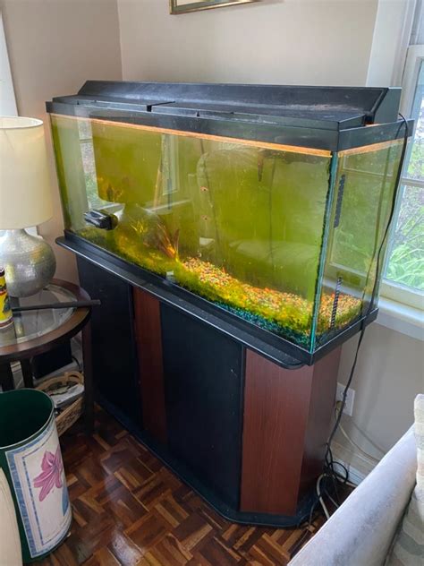 The Splendid World Of 50 Gallon Fish Tank .